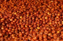 Echter Roter Pfeffer aus Kambodscha