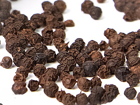 Pfeffer aus Kambodscha